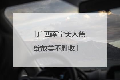 广西南宁美人蕉绽放美不胜收